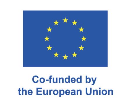 EU logo containing the message Co-funded by the European Union